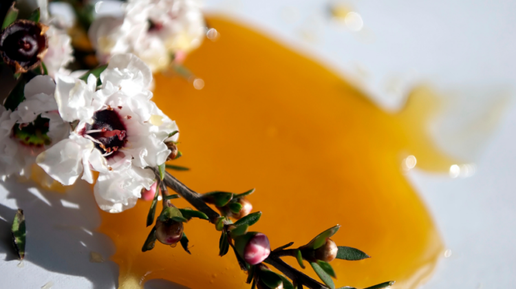 Manuka Oil and flower