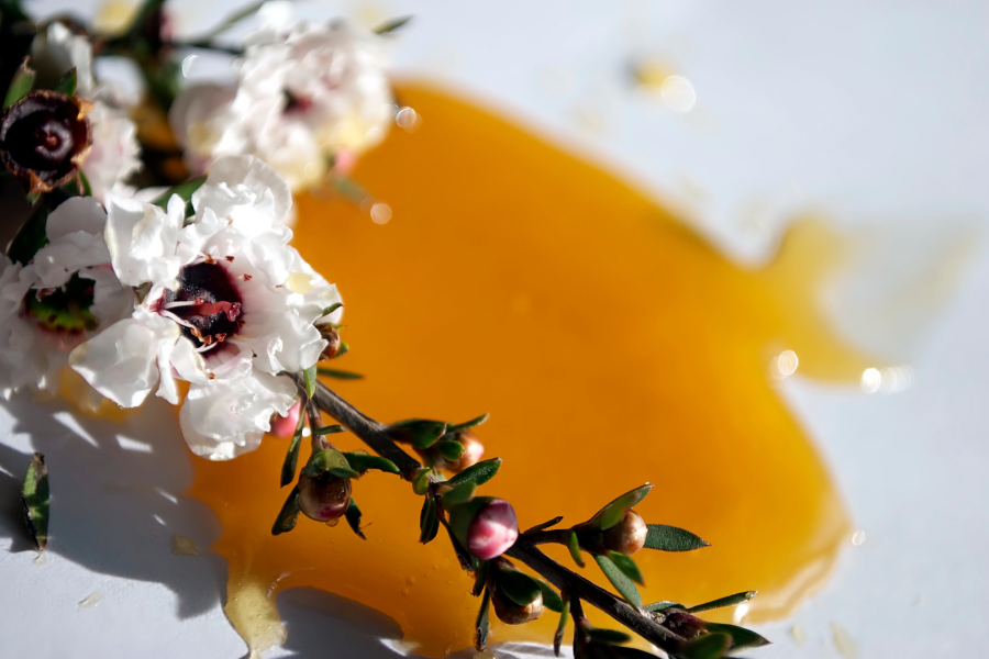 Manuka Oil and flower