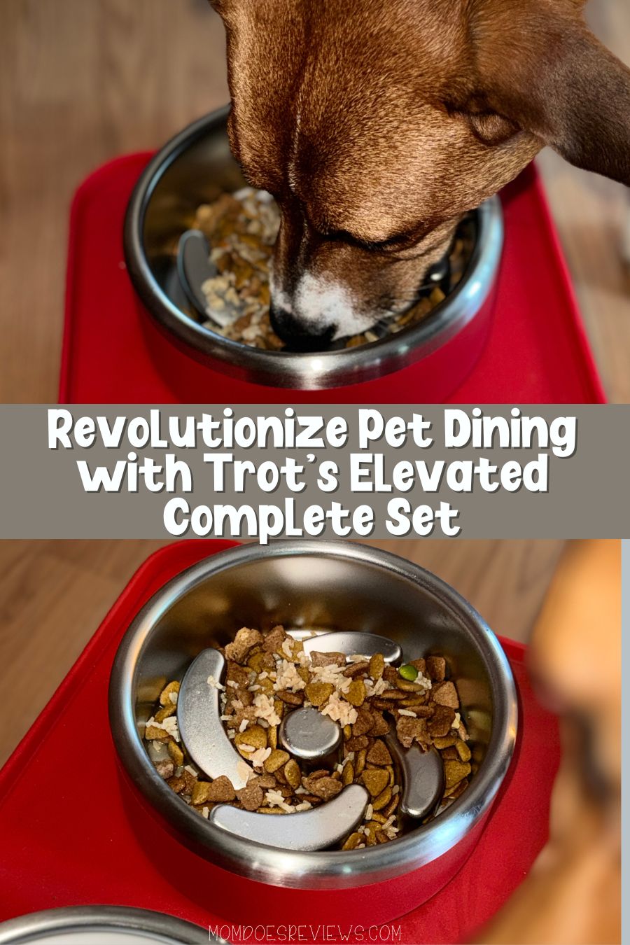 Revolutionize Pet Dining with Trot's Elevated Complete Set