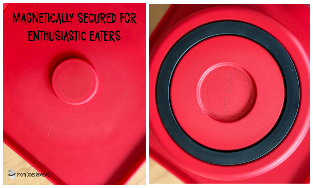 magnetically secured bowls