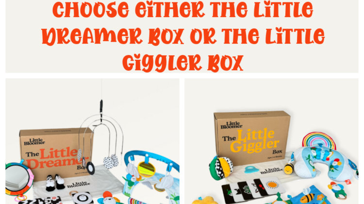 Little Bloomer Giveaway