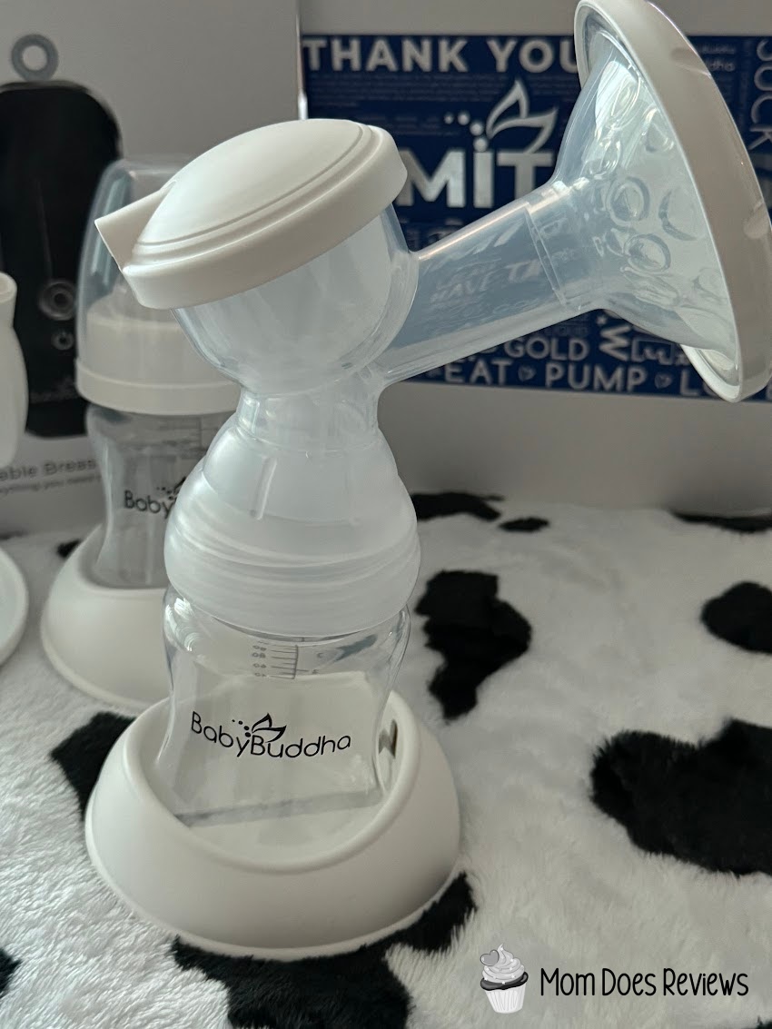 Baby Buddha Setup