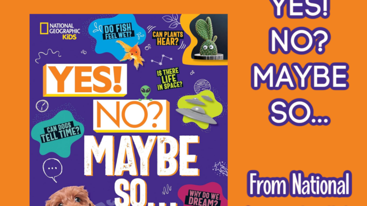 Yes! No? Maybe So...