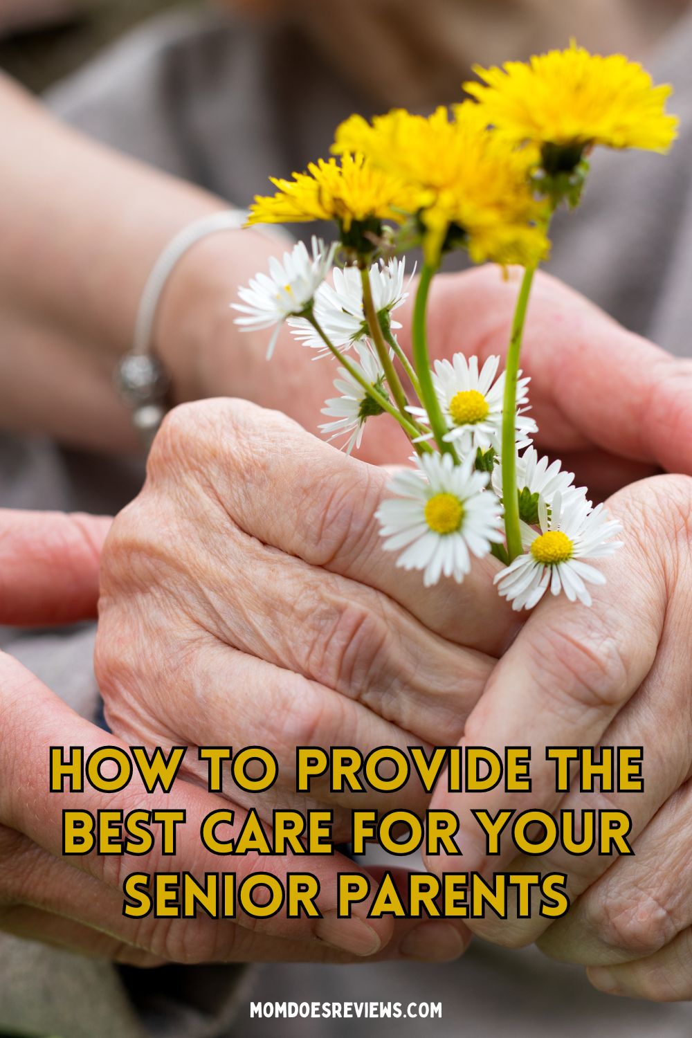 How to Provide the Best Care for Your Senior Parents