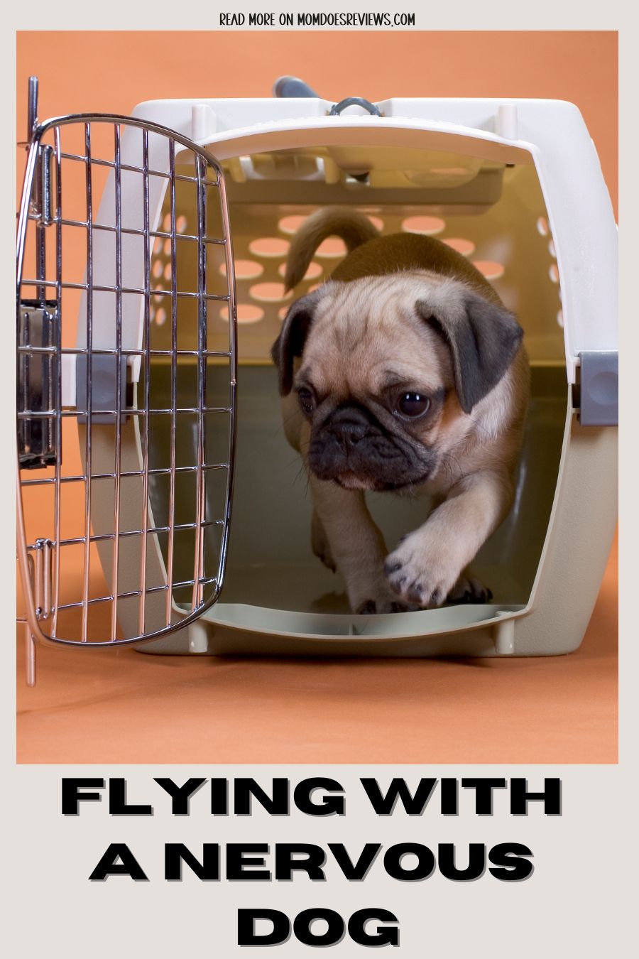 Flying with a Nervous Dog
