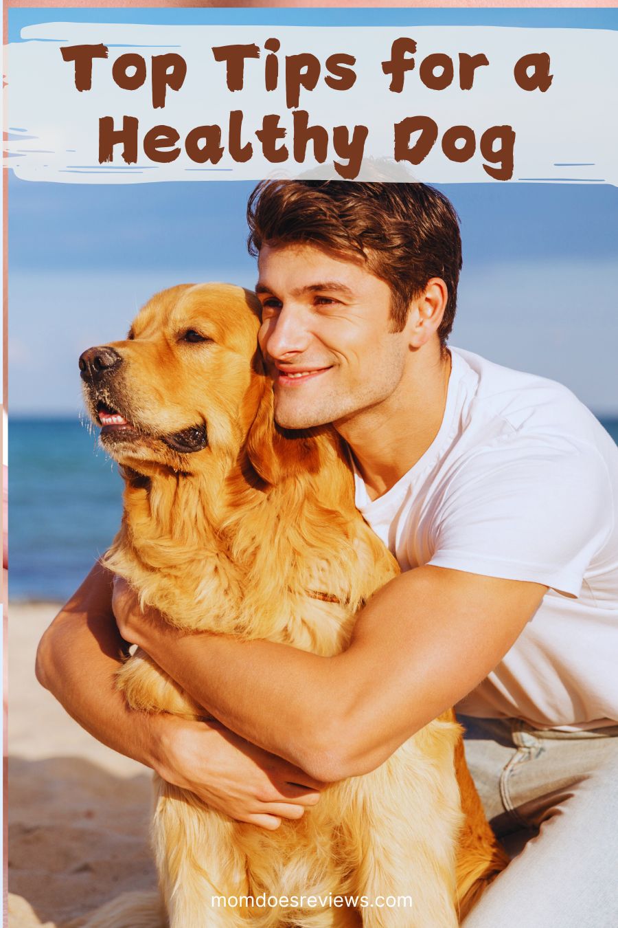 Top Tips for a Healthy Dog