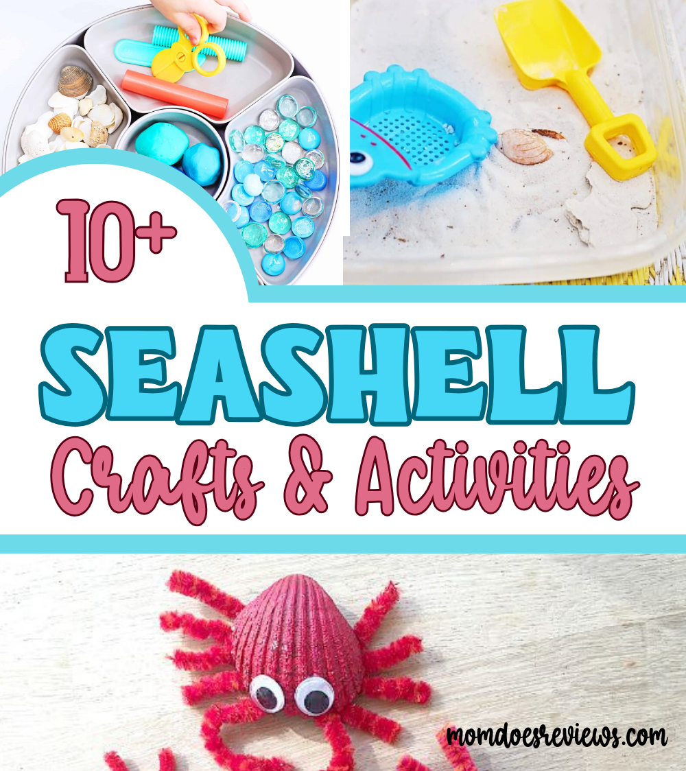 10 Seashell Crafts and Activities - Mom Does Reviews