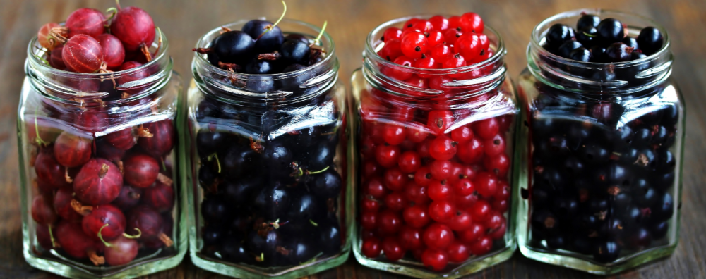 berries