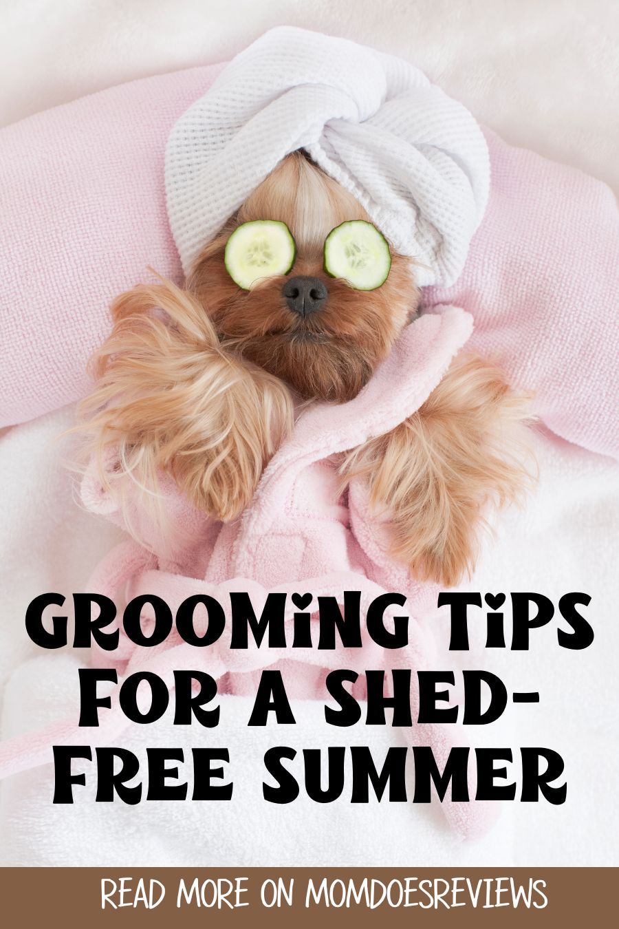 Brush, Bathe, Repeat: How to Tame Summer Shedding Like a Pro