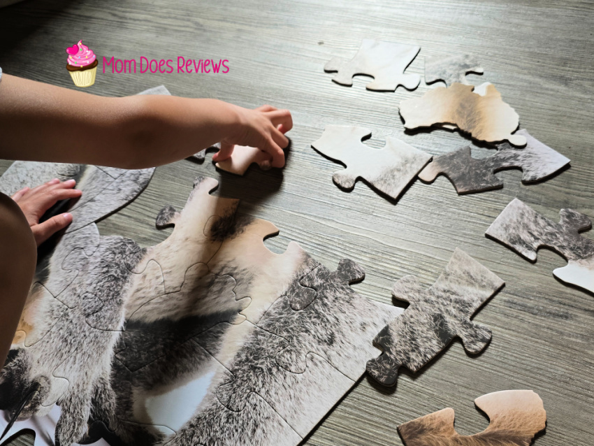 Puzzle night