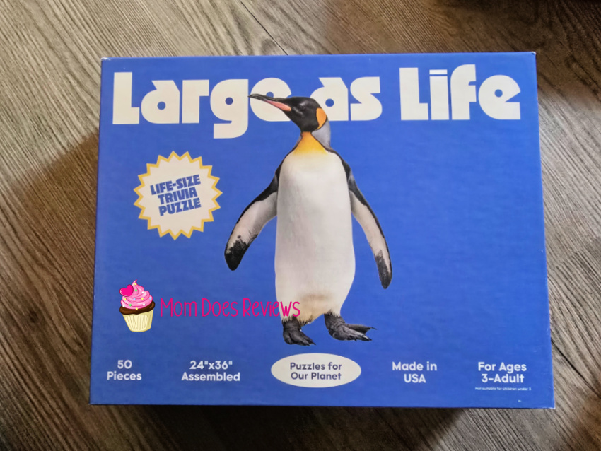 Penguin