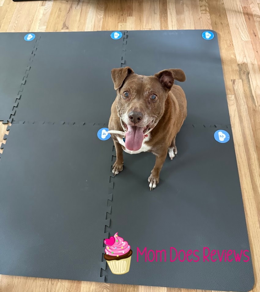 Cozey's mat with a dog sitting on it