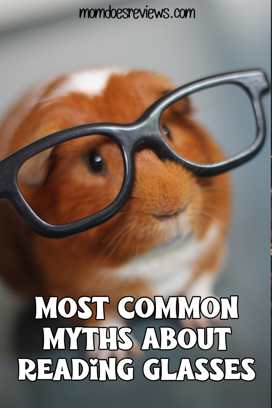 Most Common Myths About Reading Glasses