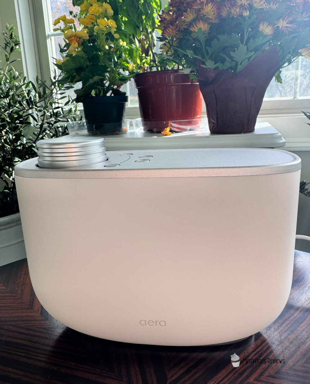 Aera Diffuser