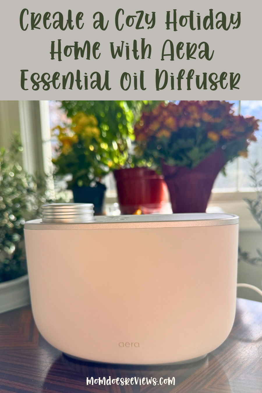 Aera Diffuser