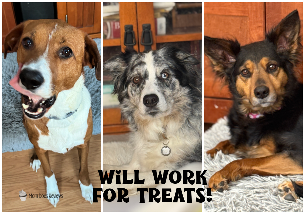 my pups work for treats