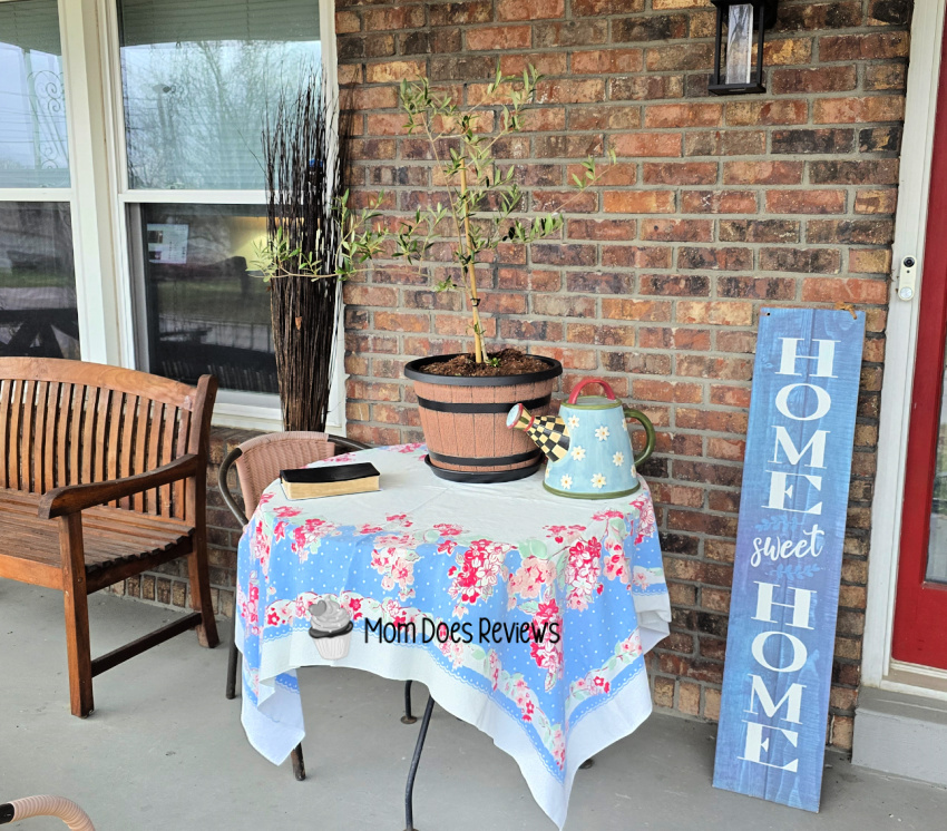 My Perfect Plants & My Patio Adventure with the Arbequina Olive Treev