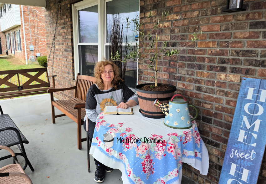 My Perfect Plants & My Patio Adventure with the Arbequina Olive Tree