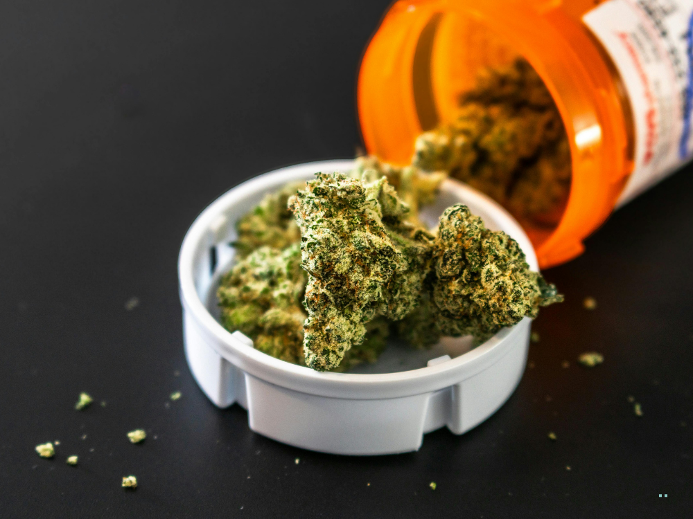 cannabis