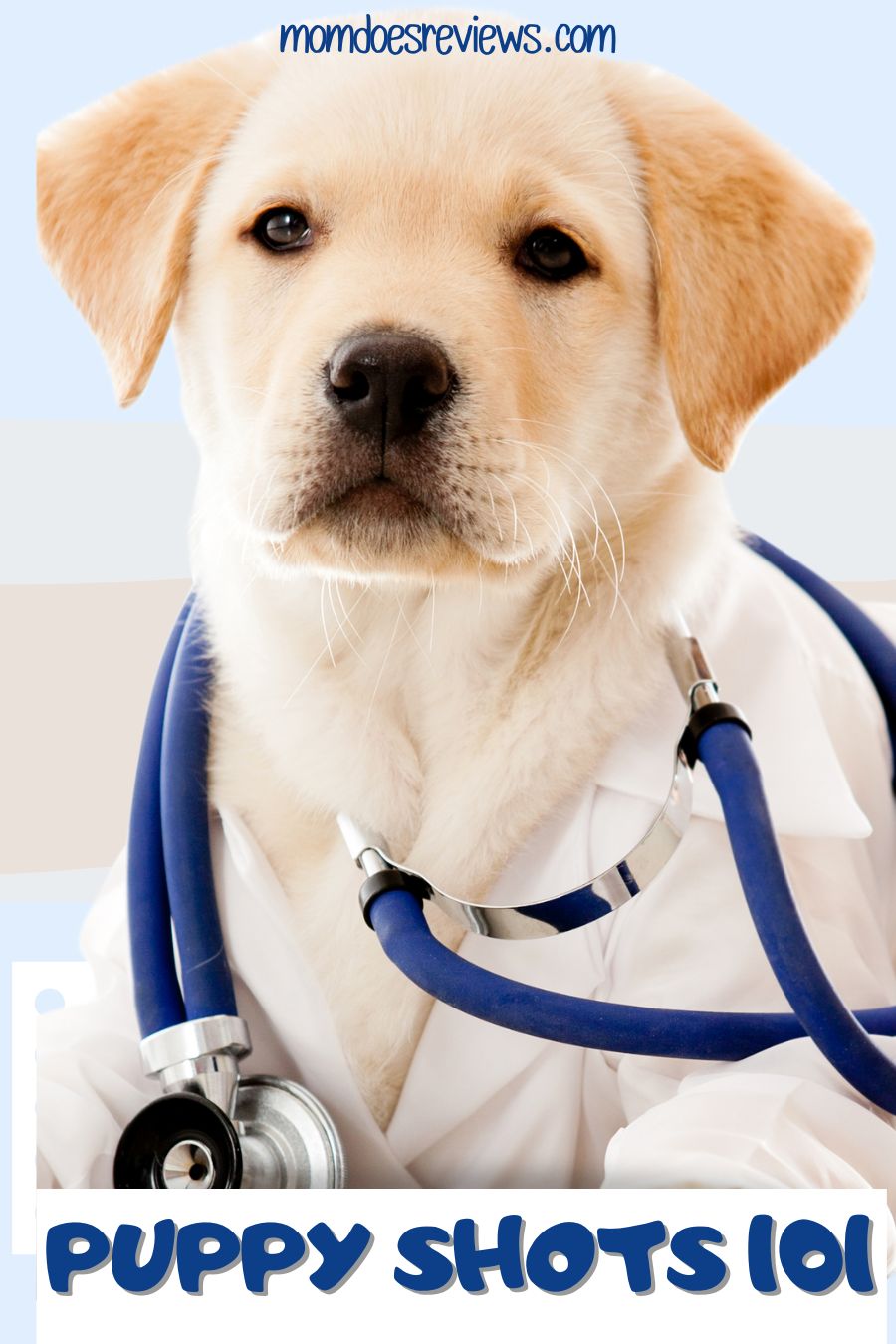 Puppy Shots 101: A Busy Pet Parent’s Guide to Vaccines
