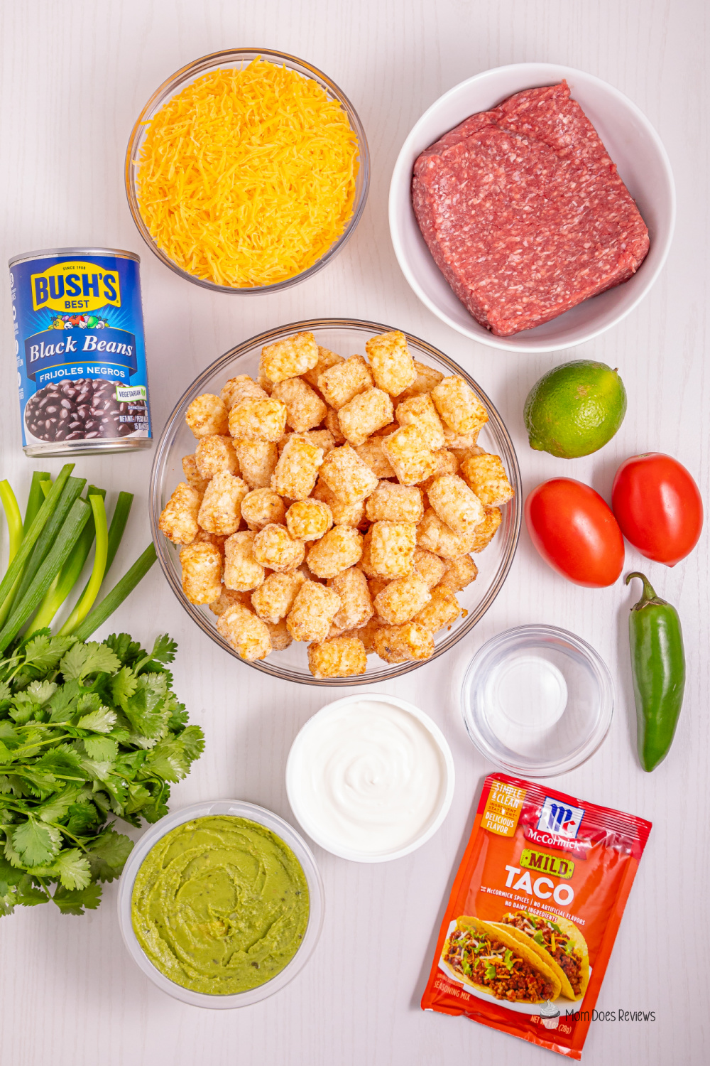 tater tot nachos