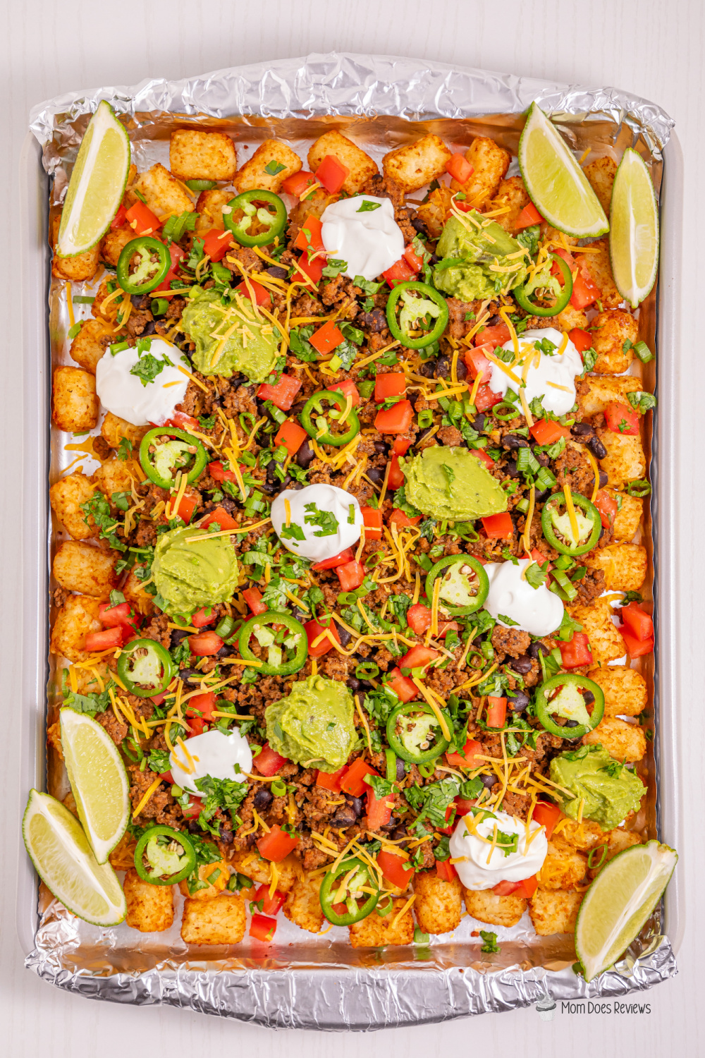 tater tot nachos