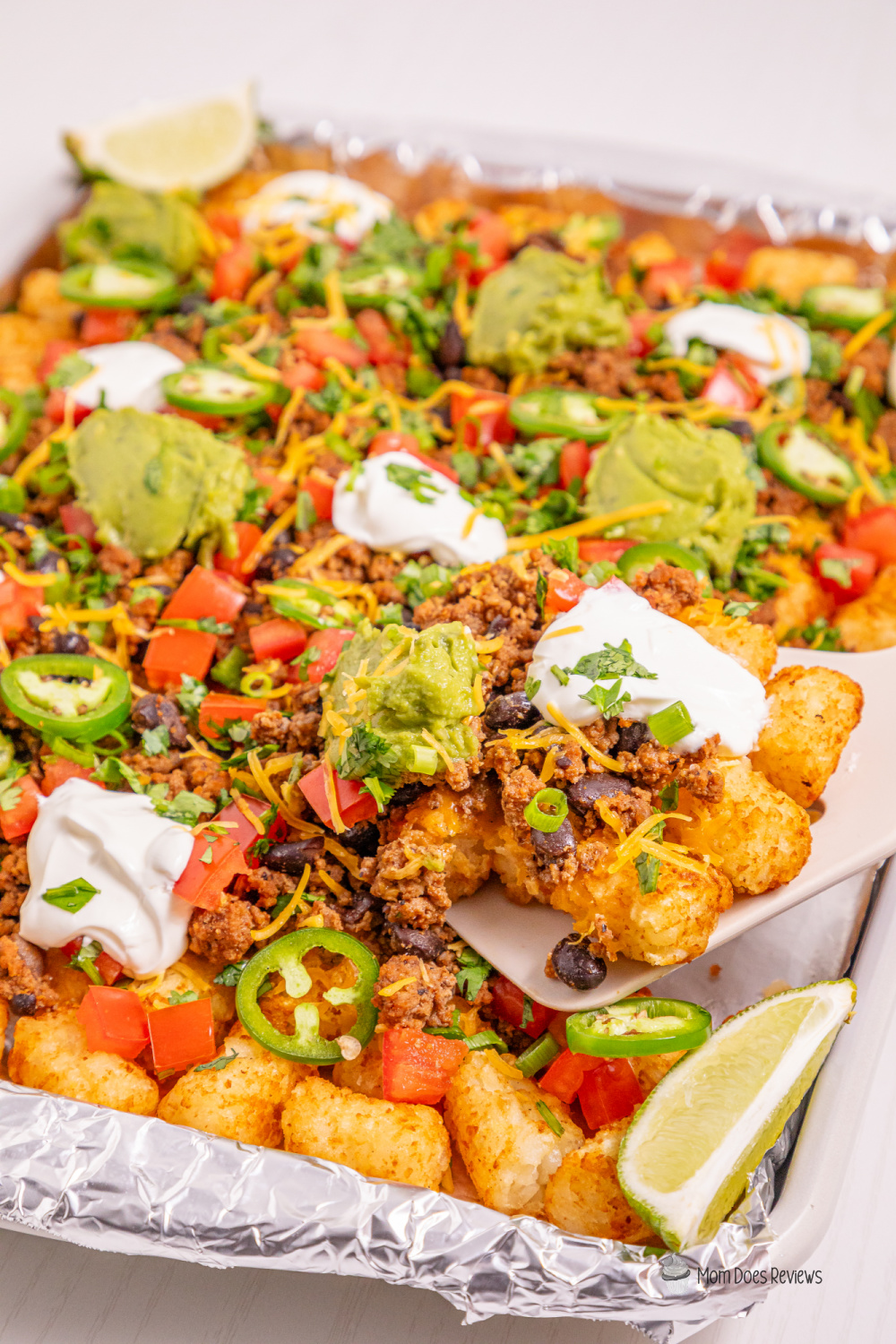 tater tot nachos