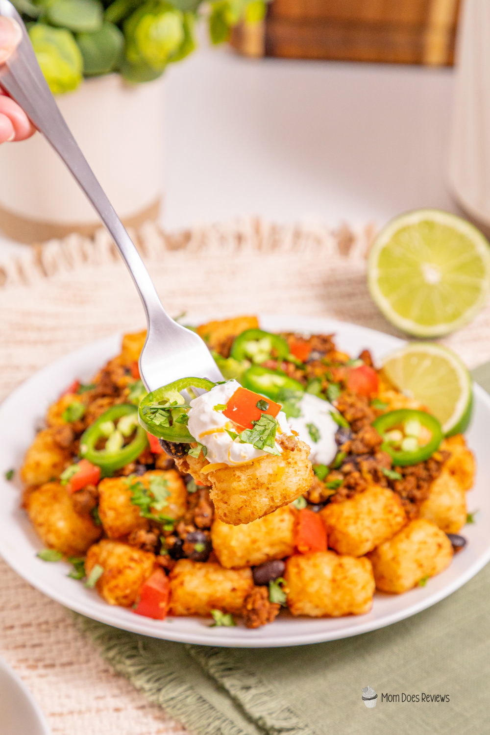 tater tot nachos
