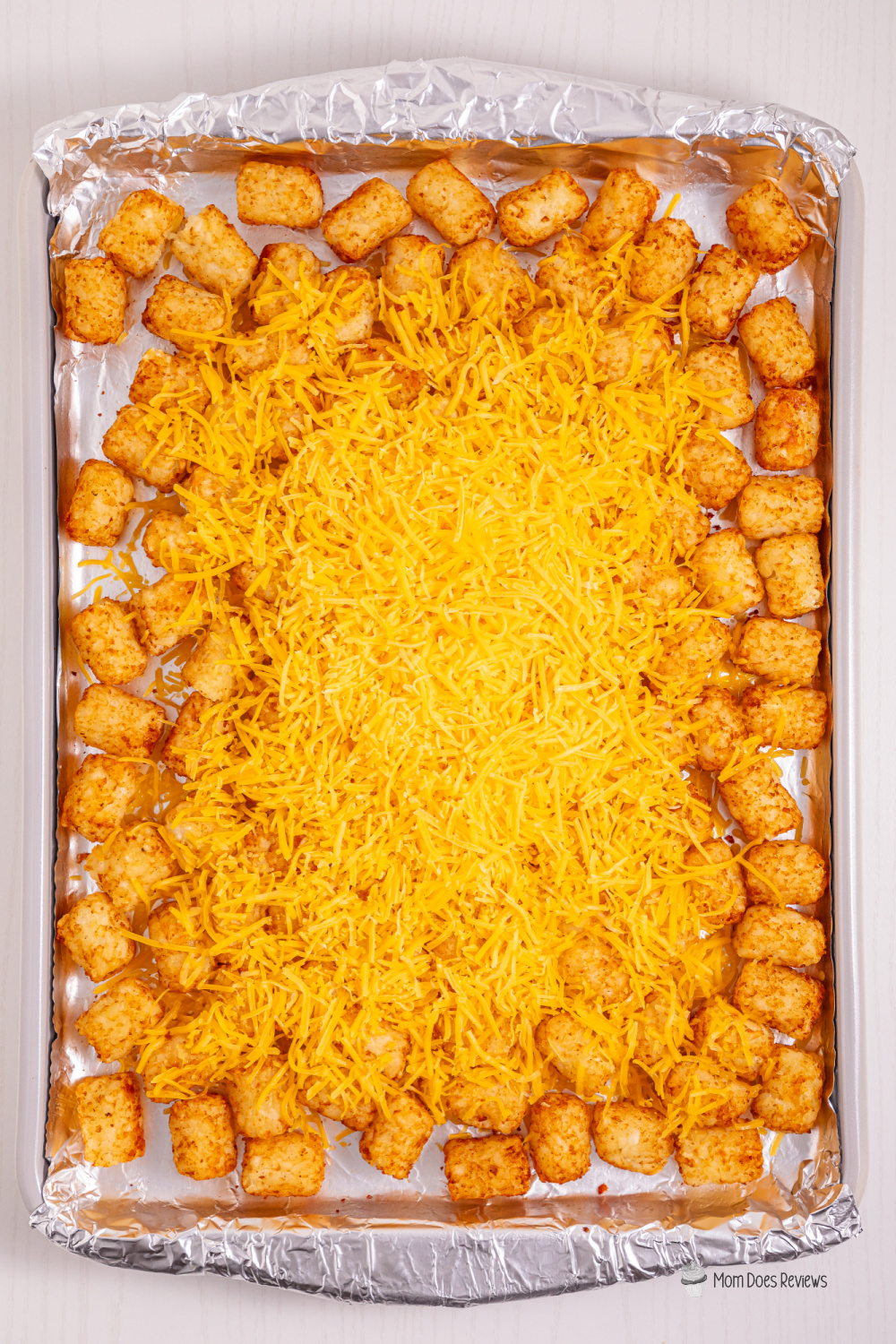 tater tot nachos