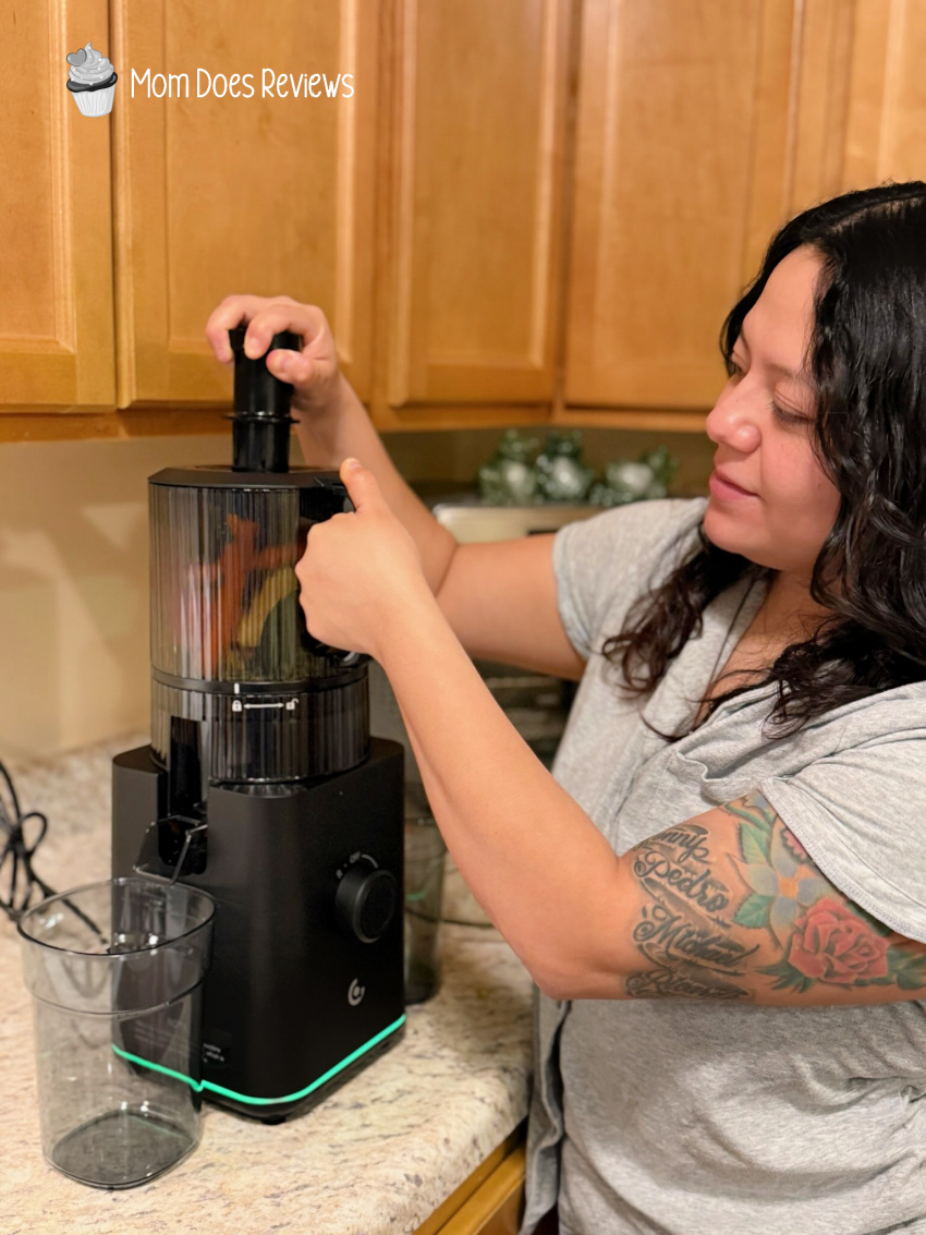 vandisell juicer machine
