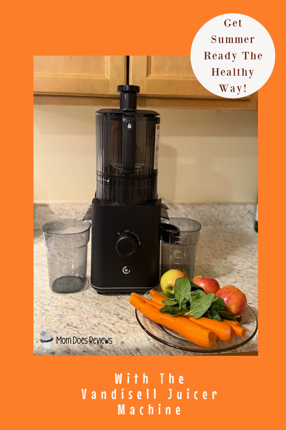 Vandisell Juicer Machine