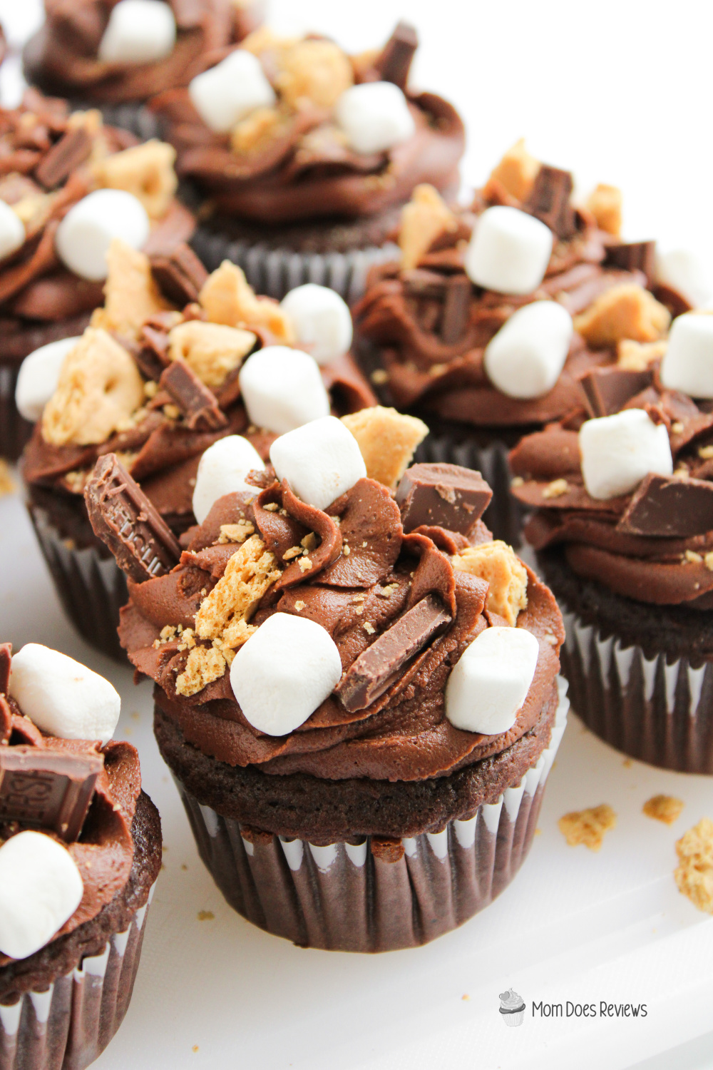 Double Chocolate S'mores Cupcakes