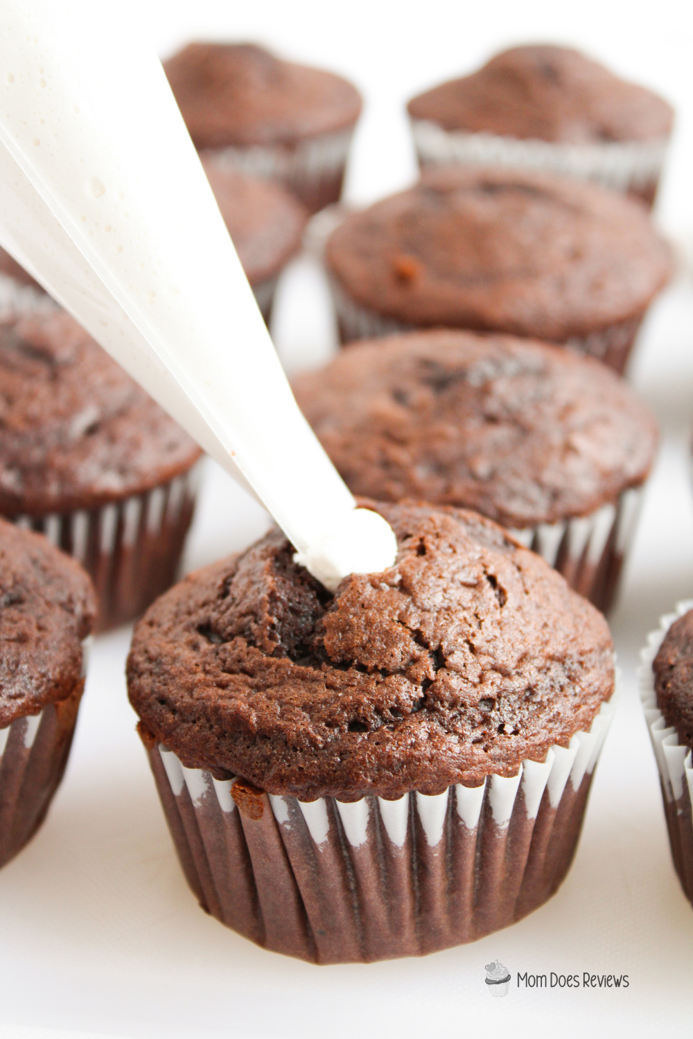 Double Chocolate S'mores Cupcakes