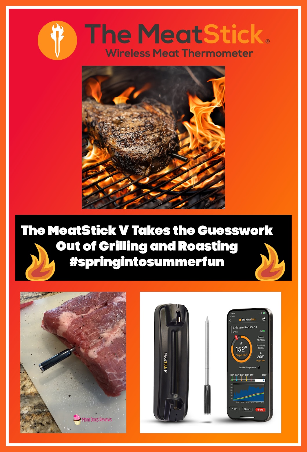 MeatStick V Pinterest Pin