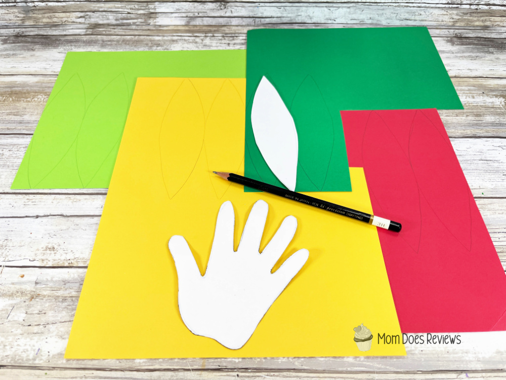 parrot craft