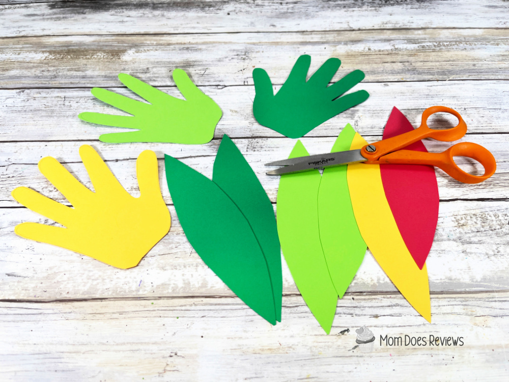 parrot craft