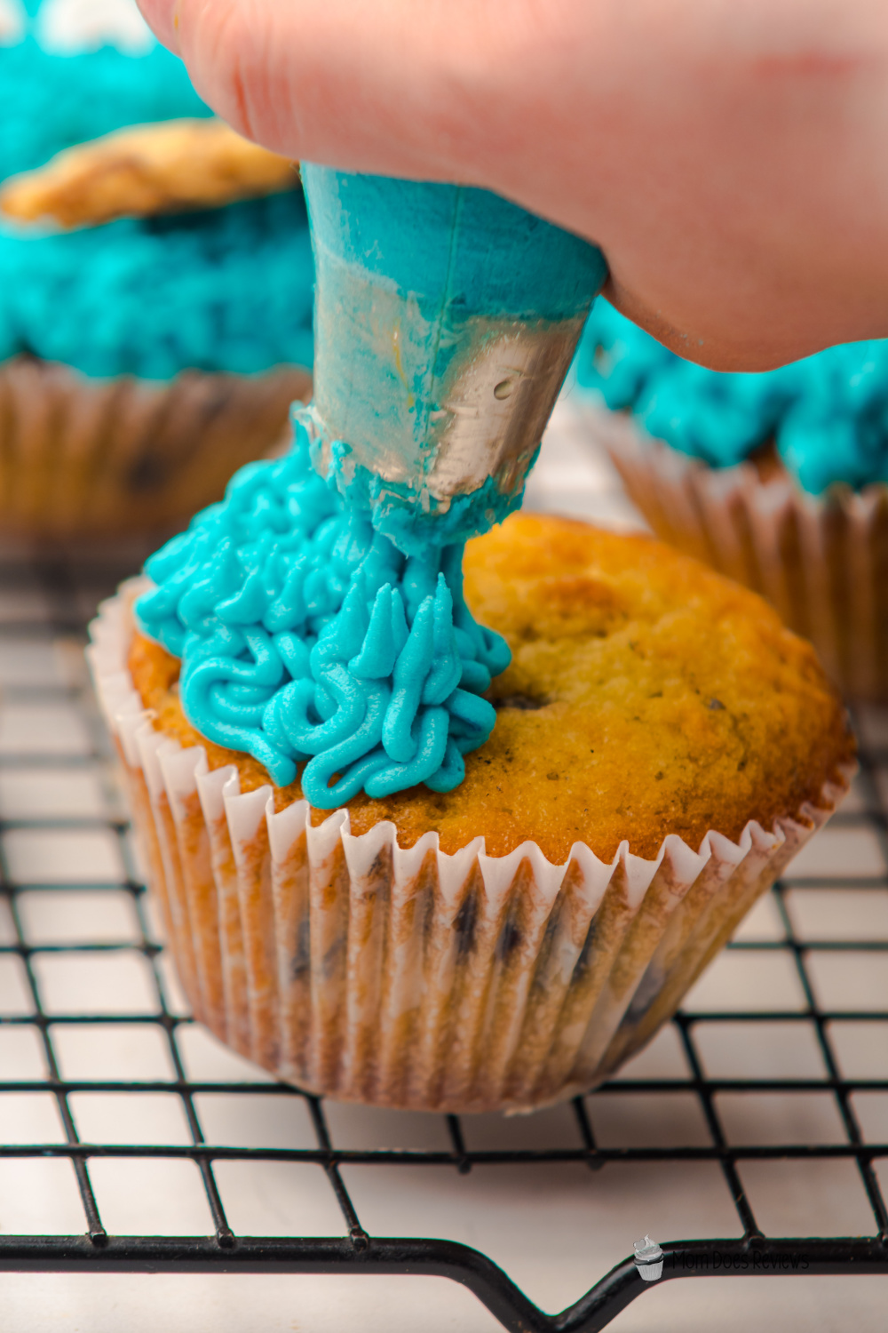 Cookie Monster Cupcakes