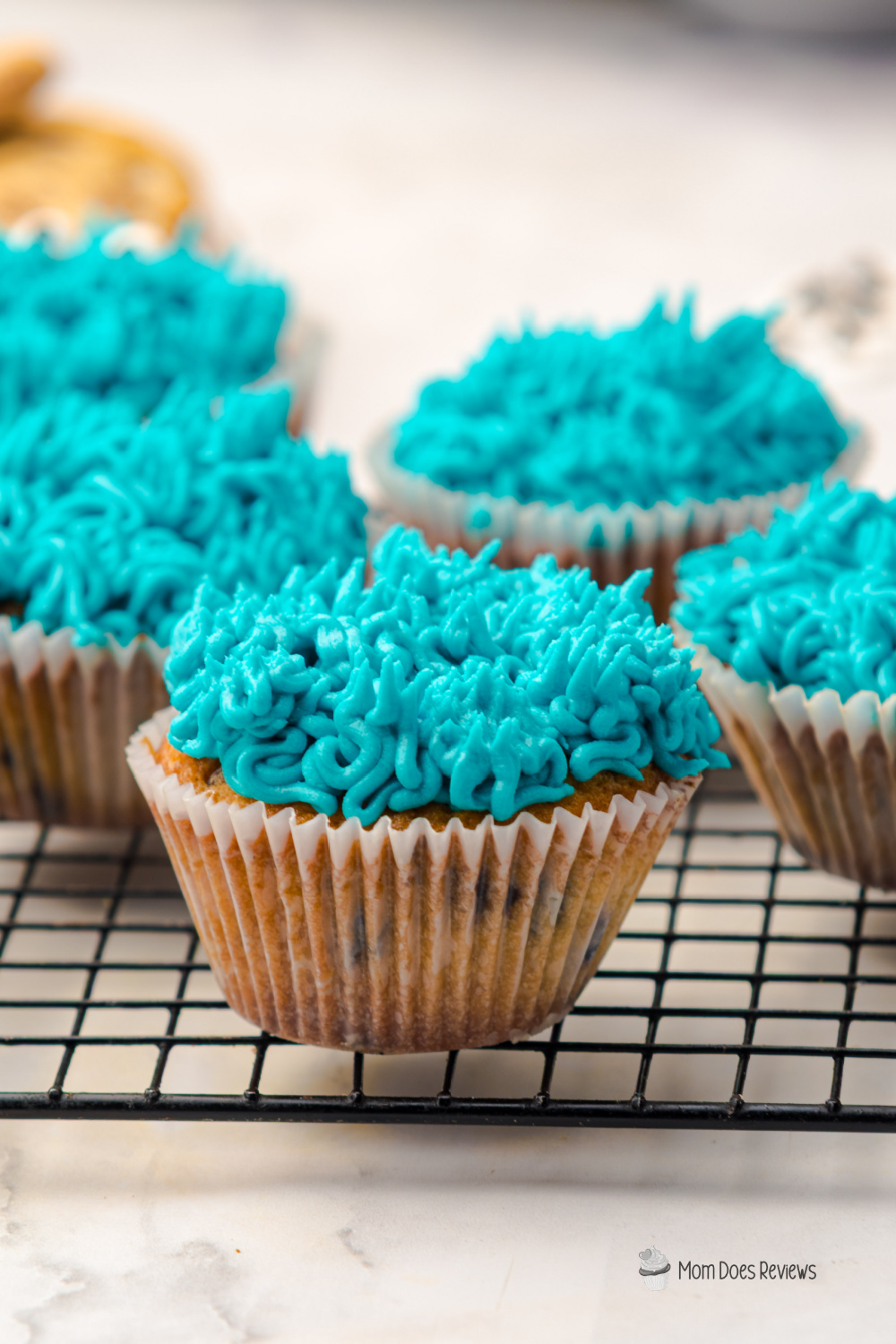 Cookie Monster Cupcakes