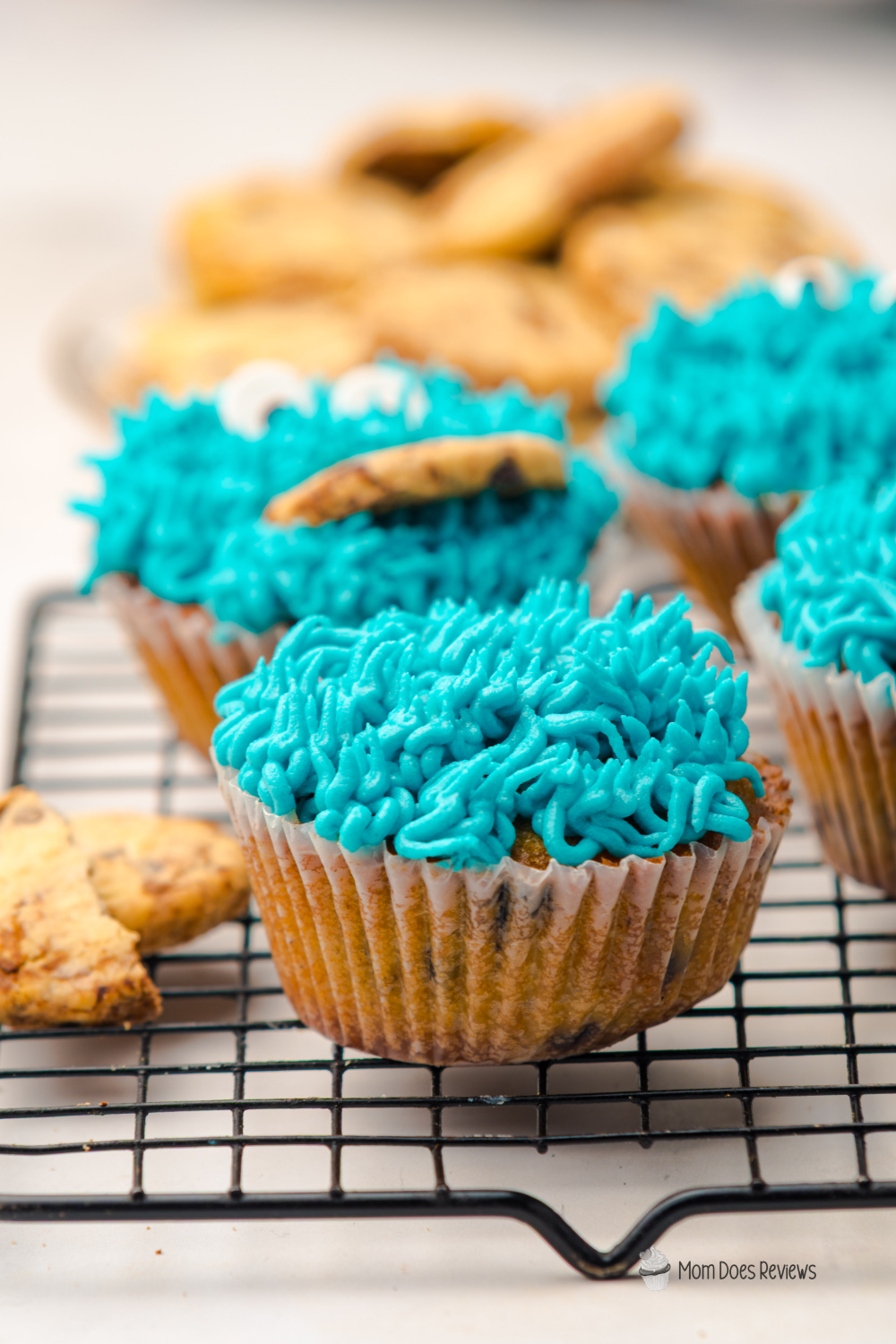 Cookie Monster Cupcakes