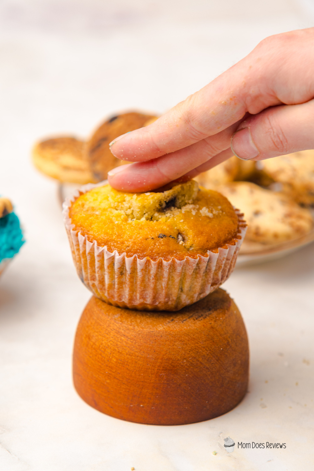 Cookie Monster Cupcakes