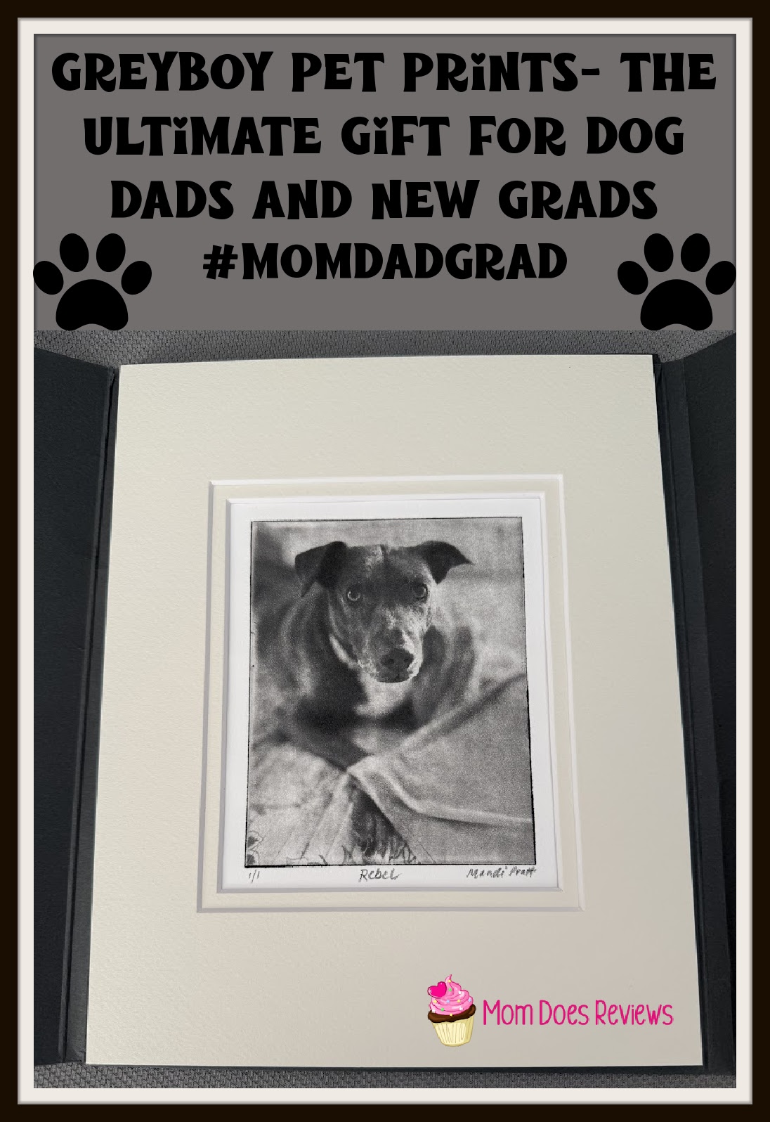 Greyboy Pet Prints Pinterest Pin