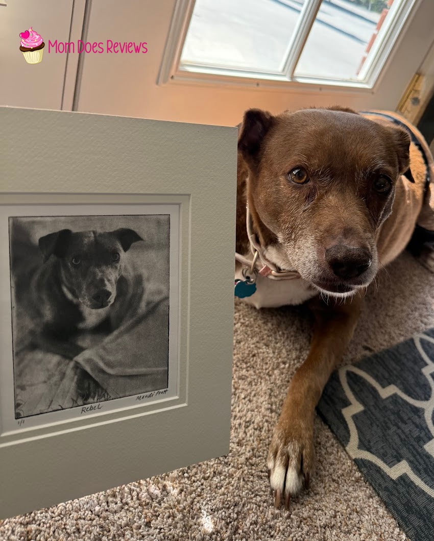Greyboy Pet Prints etching with dog next to it