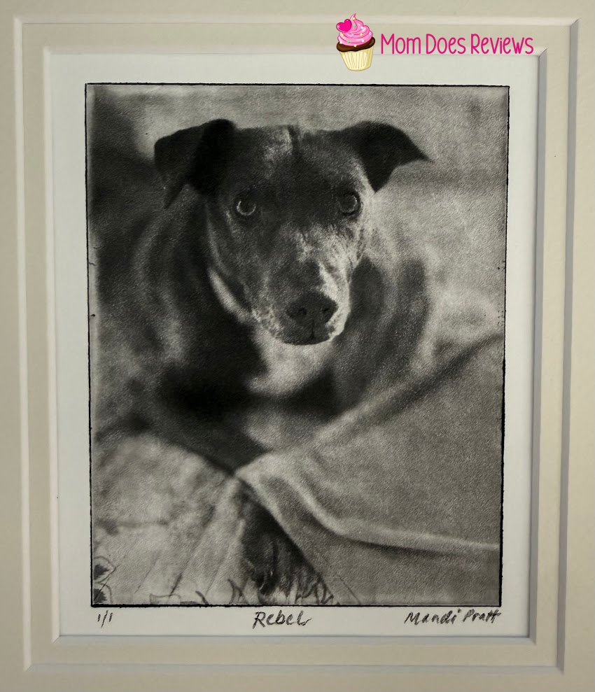 up close of the Greyboy Pet Prints etching