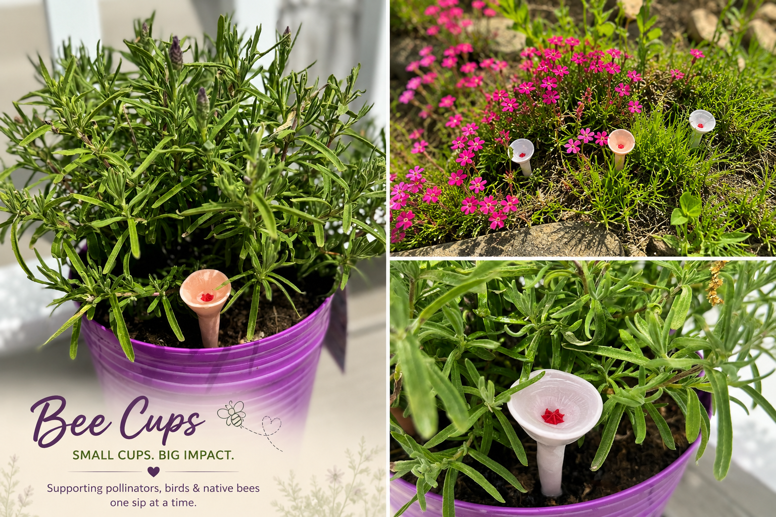 Bee Cups Gardening gifts