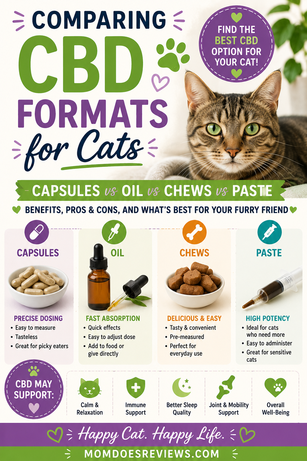 CBD formats for cats