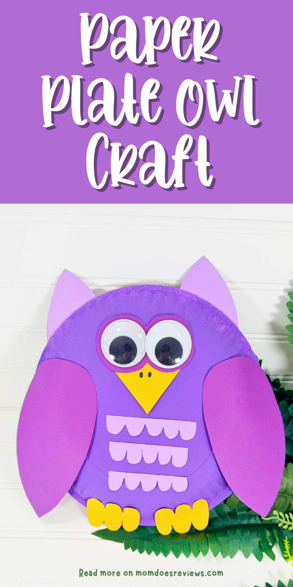 Paper Plate Owl Craft