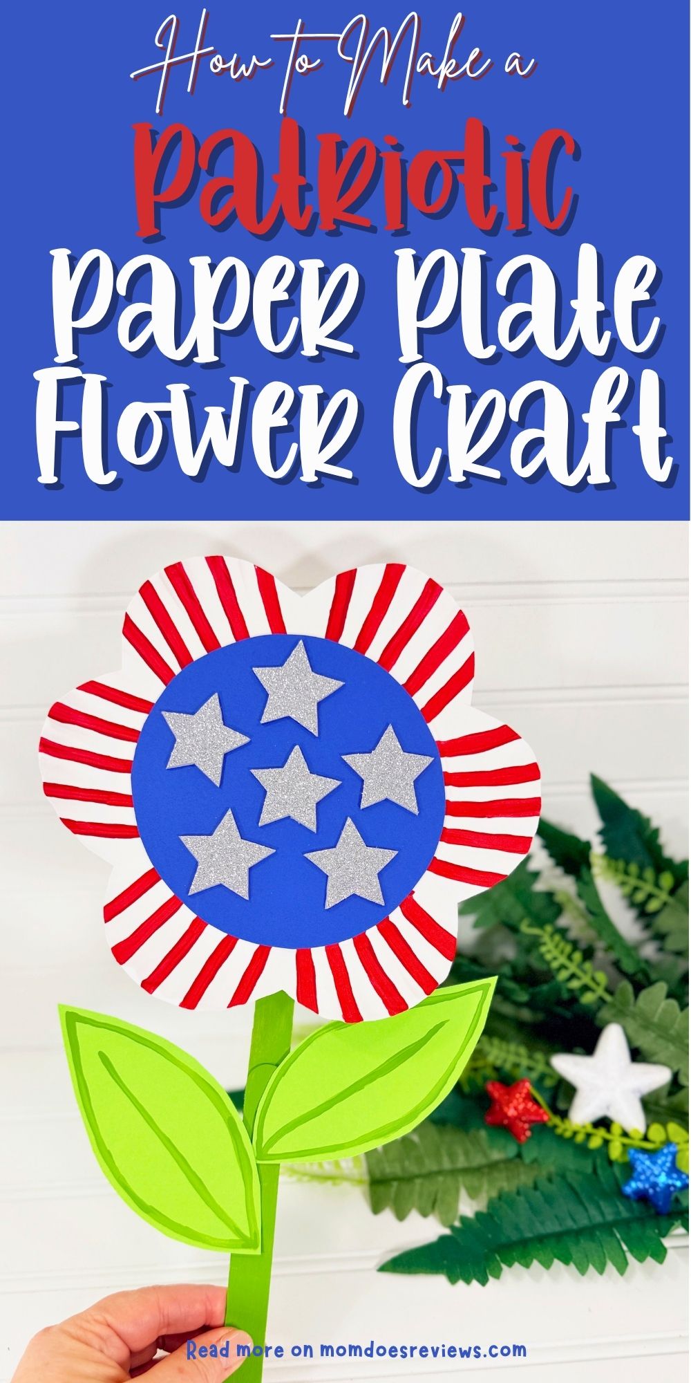 Patriotic Flower Craft