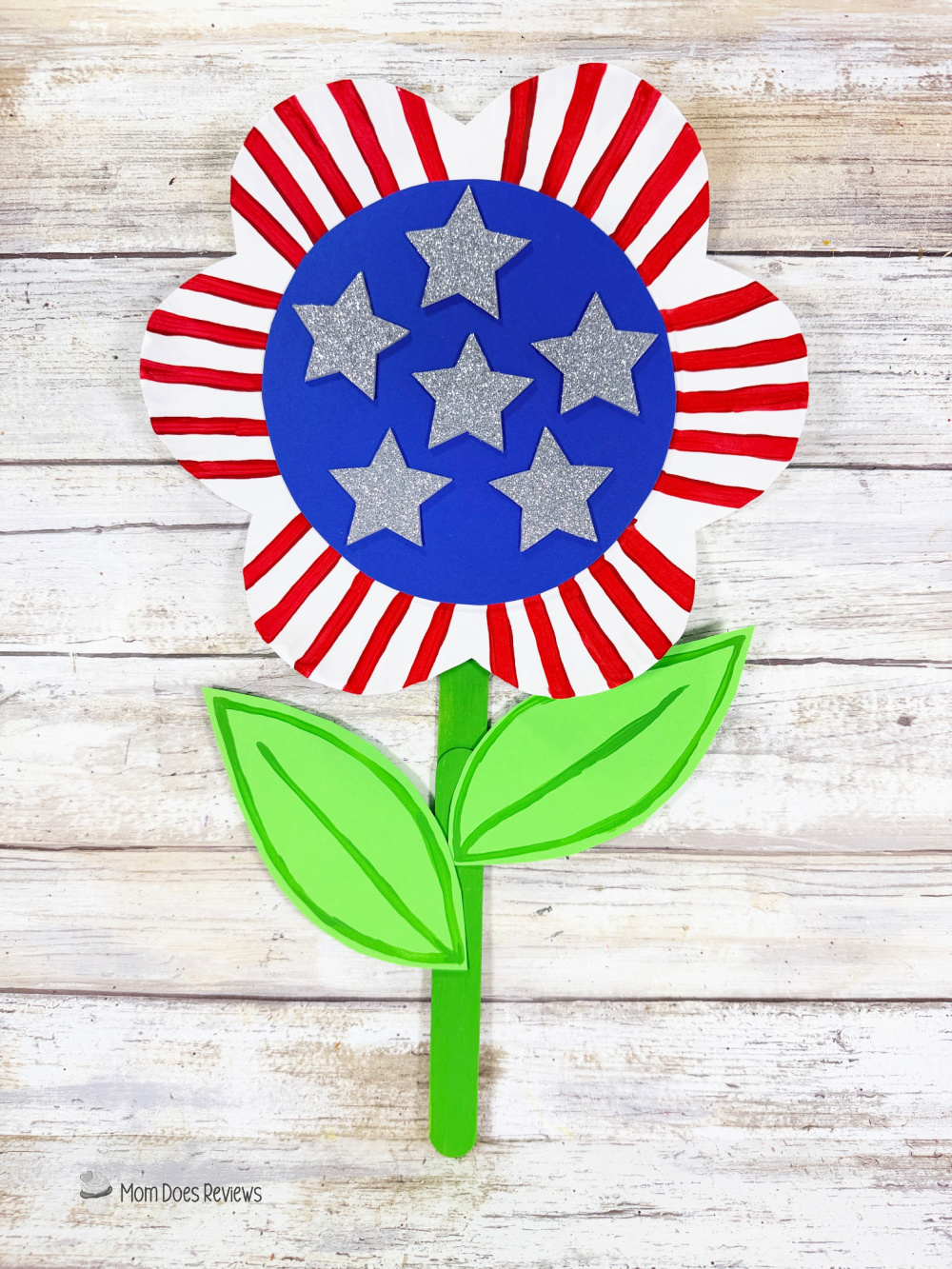 Patriotic Flower Craft