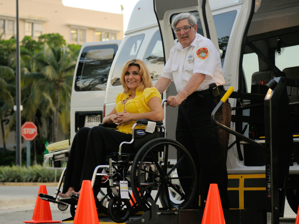 wheelchair accessible vans