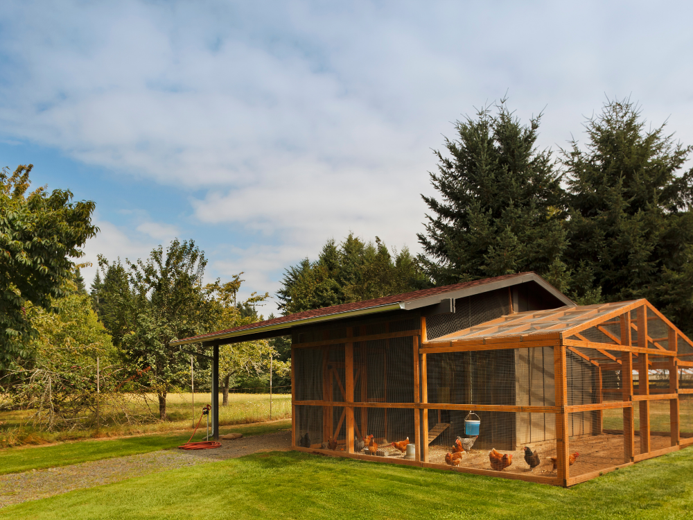 Chicken coop